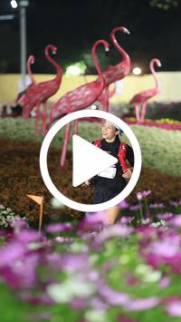 BIB:  <button type="button" onclick="openModal(27591127)" class="btn btn-primary btn-sm float-right" data-toggle="modal" data-target=".modal-high-quality">
                <i class="fa fa-download"></i> Download
                </button>